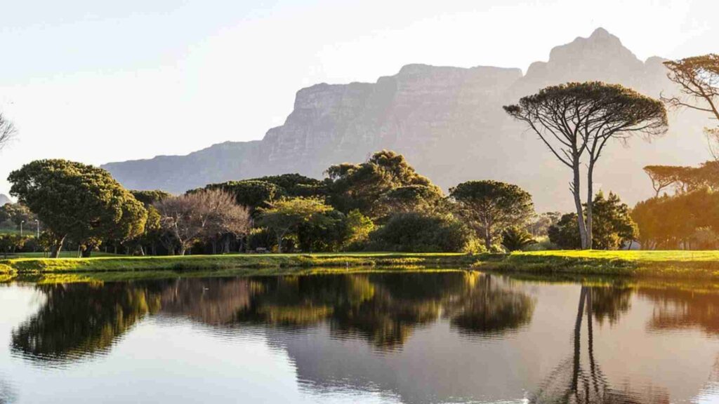 Western Cape's Tourism Excellence Shines at World Travel Awards Africa