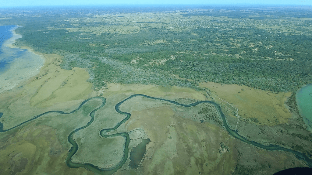 10 years of Southern Africa’s Transfrontier Conservation Areas celebrated in Maputo this week