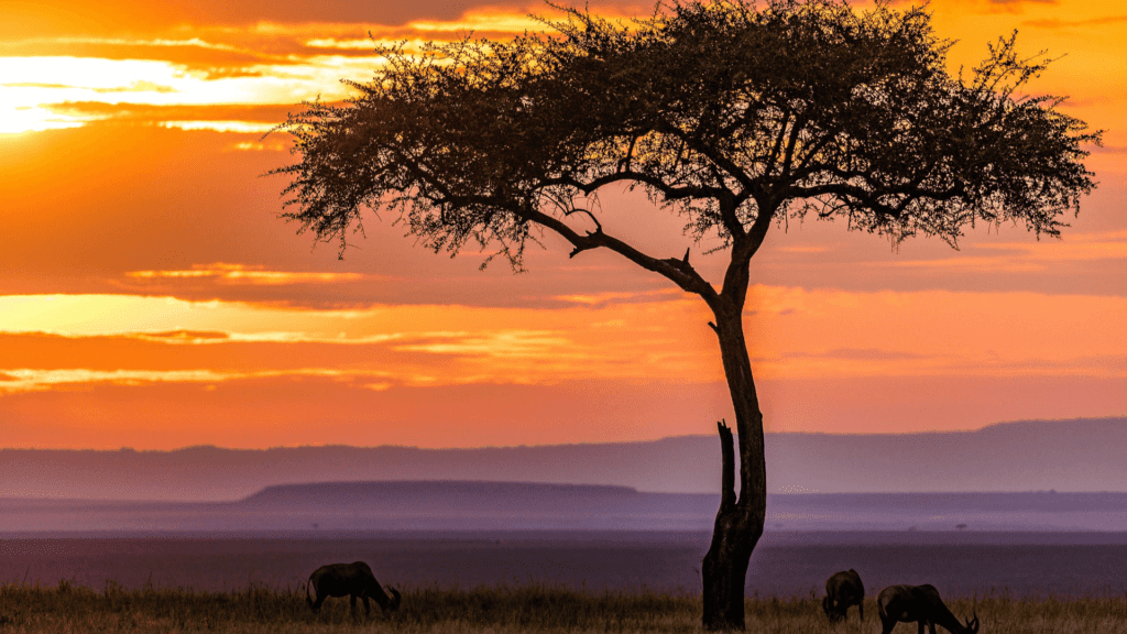 Exploring Luxury Safari Lodges in Kenya Unveiling the Untamed Beauty of East Africa 1