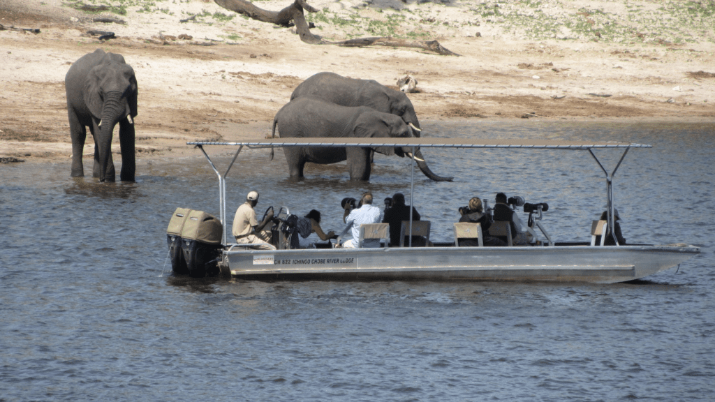 How to take incredible wildlife photos with just your phone