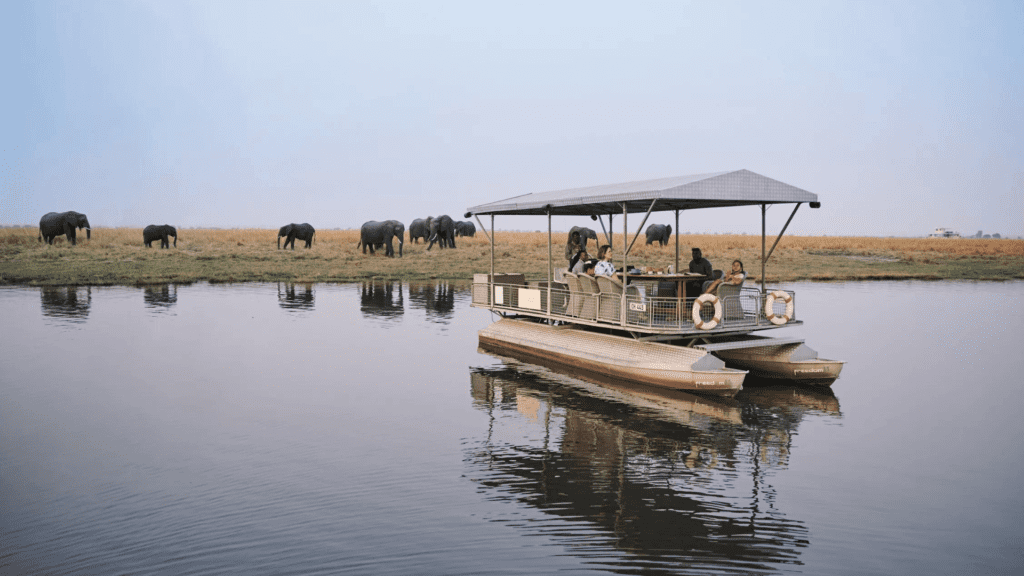 botswana's sustainable safari lodges