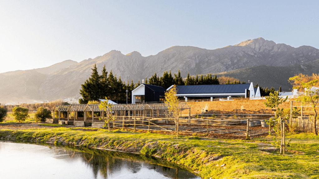 Last call for entries: Embark on an Unforgettable Adventure with Backsberg's 'Live the Journey' Campaign