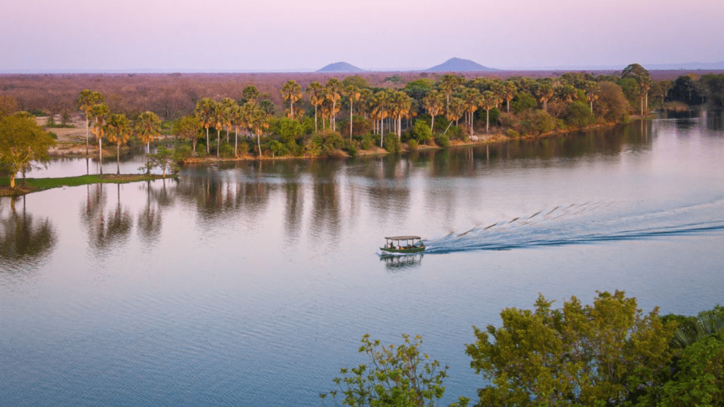 Liwonde continues to thrive in African Parks’ 2023 Annual Report
