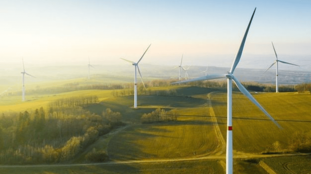 Africa Holds the Key to Decarbonising the Global Energy System
