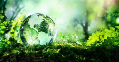 Embracing Sustainability in African Hospitality