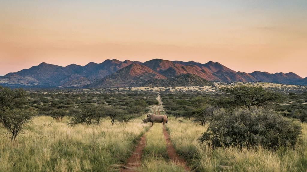 Tswalu Kalahari Reserve has achieved The Long Run’s Global Ecosphere Retreat® status, doubling down on its regenerative conservation vision
