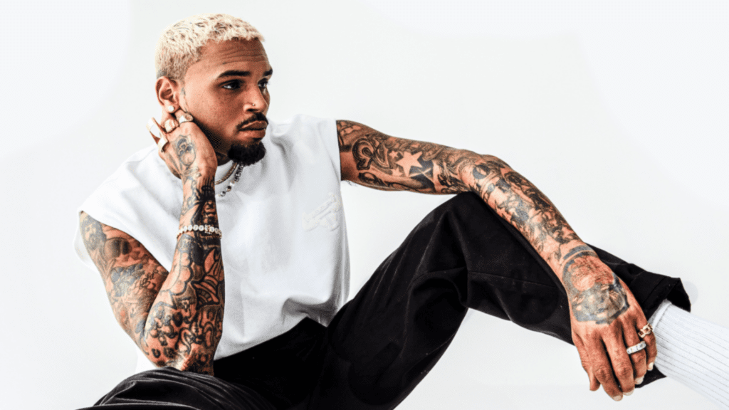 BEST CHRIS BROWN CONCERT IN THE WORLD DRIVES GAUTENG GOLDEN FESTIVE SUMMER ENA'LANTO