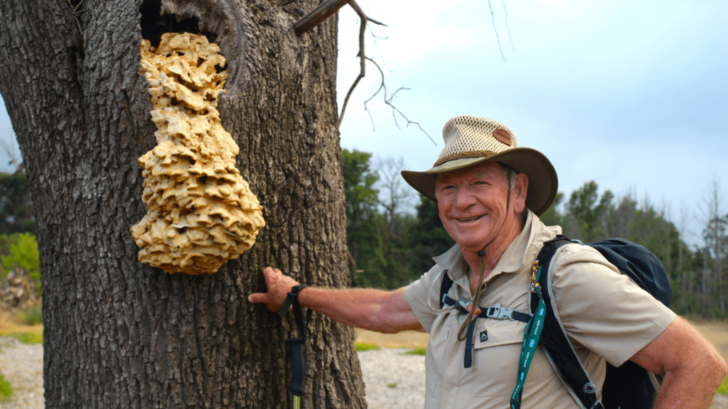 Flora, fauna and fine wine: Vergelegen launches guided hiking trail