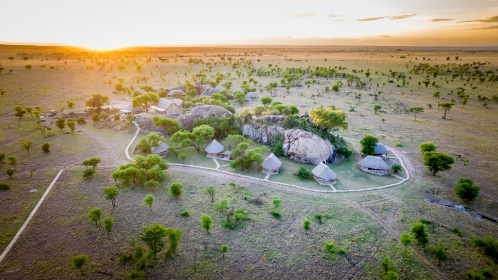 Tanzanian Safaris on Tap in Australasia