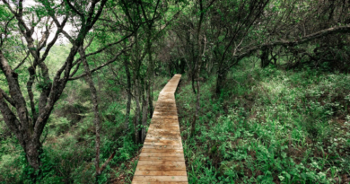 A FRESH PATH AWAITS:  EXPLORE BRAHMAN HILLS’ BRAND-NEW FOREST WALK!