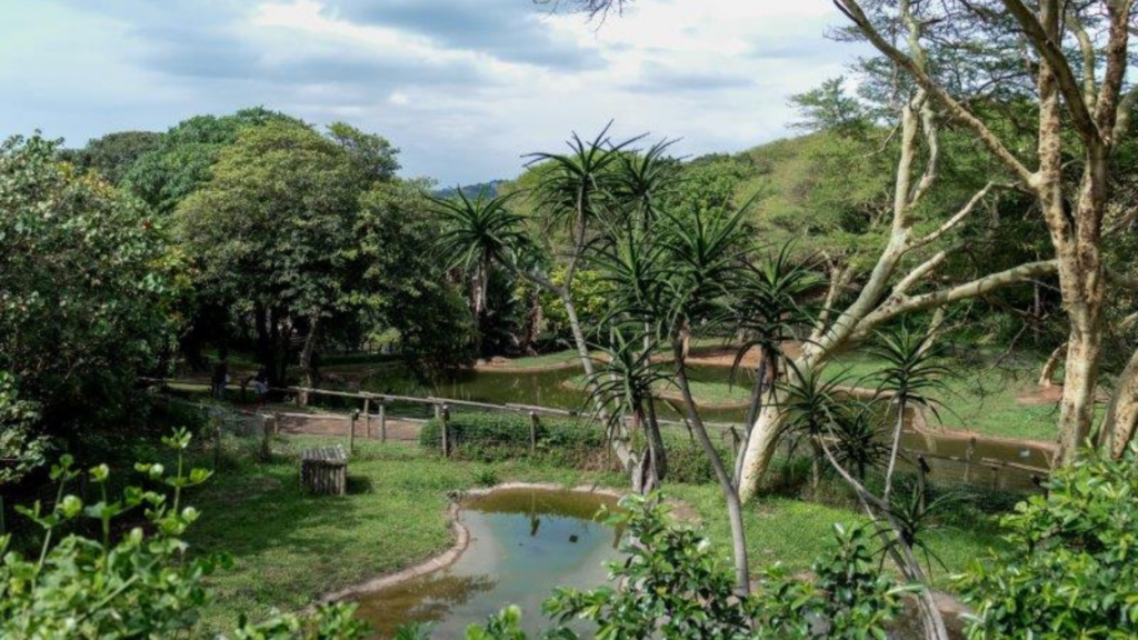 Don’t miss any of the Easter holiday fun at Crocworld Conservation Centre on KZN South Coast!