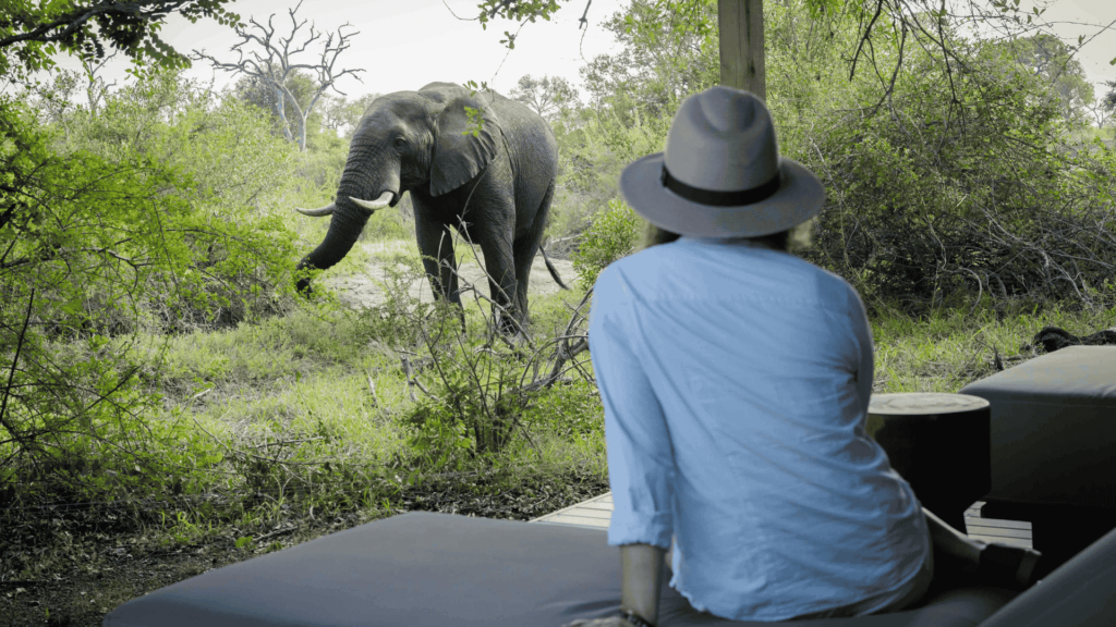 Ever thought of sleeping outside among African wildlife? Here’s what it’s really like