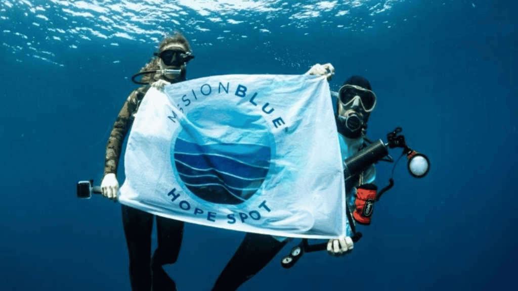 MPA Day by Numbers: Plans to Make the 2025 MPA Day the Biggest Celebration Yet