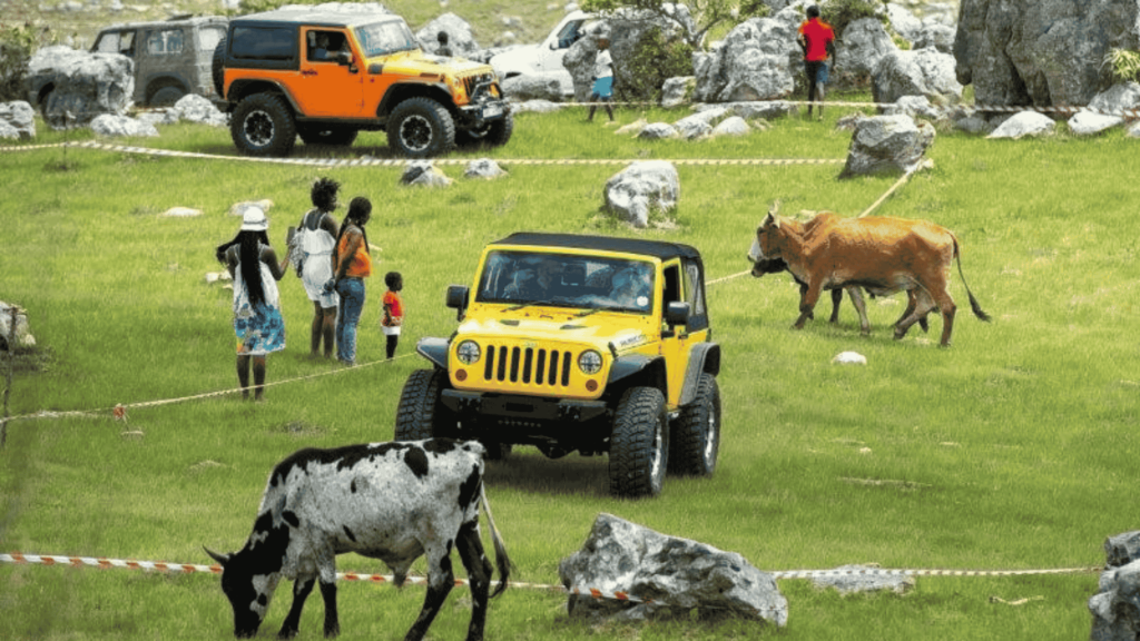 SCTIE’s Upskilling of Local SMEs Boosts Job Creation and the KZN South Coast’s Tourism Offerings