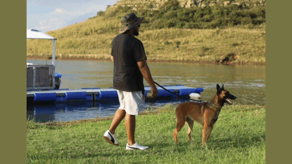 Qwantani Resort Rolls Out The Red Carpet For Man’s Best Friend