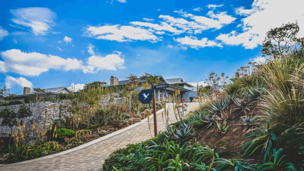 South Africa’s Property Market Evolution Leads to the Rise of Precinct Living