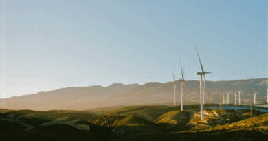Global African Hydrogen Summit co-creates Youth Programme to empower and integrate the next generation for sustainable progress.