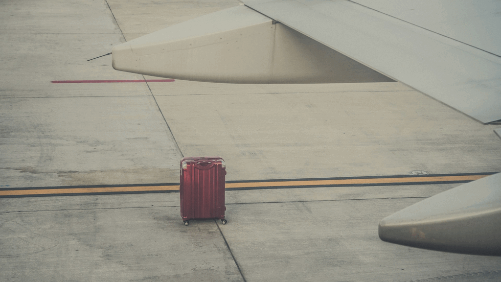 Business travel pros reveal baggage survival secrets