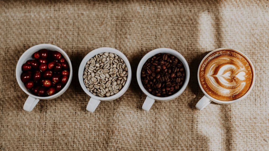 KZN MEC Backs Coffee Sector with Ugu District Social Compact to Drive Growth on the South Coast