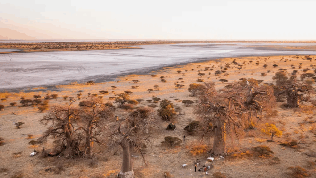 Botswana: Kubu Island Helicopter Adventure – Desert’s Ancient Sentinel