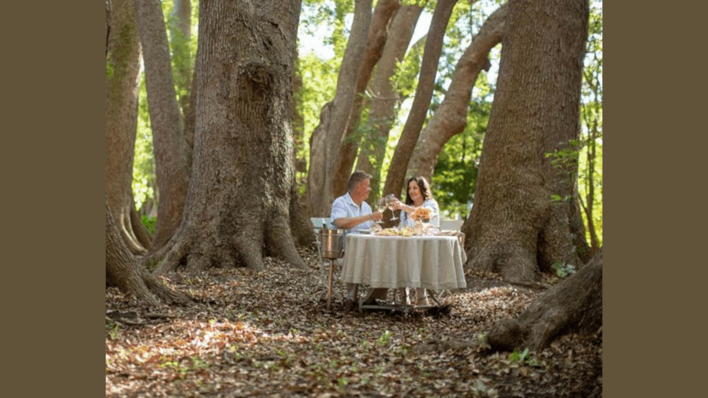 Savour summer flavours at Vergelegen