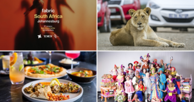 The Most Exciting Things to Do in Gauteng This Holiday Season