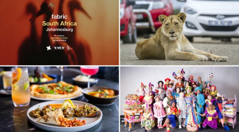 The Most Exciting Things to Do in Gauteng This Holiday Season
