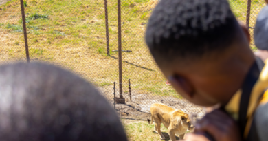 Education for Sustainable Coexistence Begins with Animal Welfare
