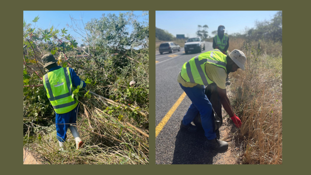 How Community-Driven Initiatives are Reinvigorating the KZN Mid-South Coast 