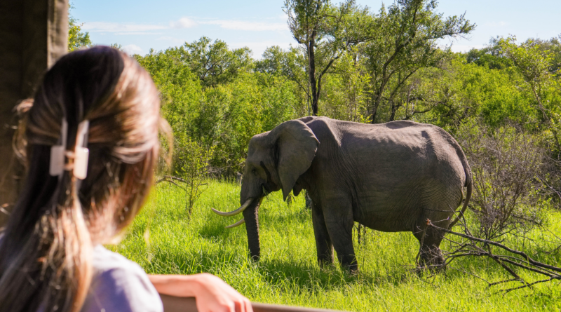 Ecotourism In Africa Travel Meets Responsibility