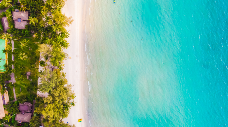 Indian Ocean Tourism Shows Resilience and Strong Momentum in January 2026
