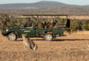 Lions Cricket partners with the Extraordinary Hospitality Group to bring wildlife conservation into schools and stadiums