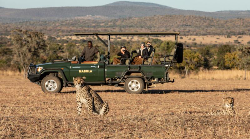 Lions Cricket partners with the Extraordinary Hospitality Group to bring wildlife conservation into schools and stadiums