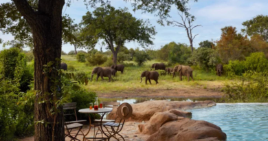 Motswari Private Game Reserve Celebrates 50 Years of Conservation, Family and Enduring Wilderness