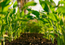 Partnerships, not posturing: why real sustainability in hospitality starts in the local community