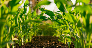 Partnerships, not posturing: why real sustainability in hospitality starts in the local community