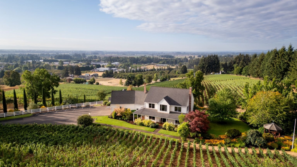Six more Lots Revealed for the Cape Wine Auction