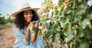 South Africa’s Wine Industry: Leading The Way In Sustainability