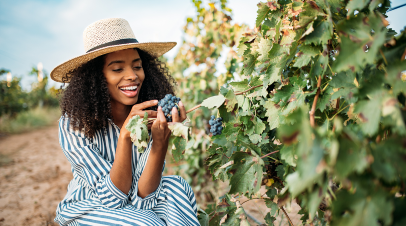 South Africa’s Wine Industry: Leading The Way In Sustainability