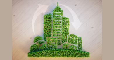 The Evolution Of Sustainable Practices In Hotels