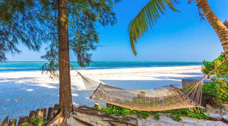 Essence of Africa to Set Sail for Zanzibar in 2026 Edition