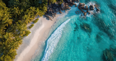 Africa Island Hopping: Beyond the Safari Frontier