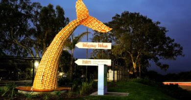 Africa’s Largest 3D-Printed Whale Tail Turns Formosa Bay Resort into a New Garden Route Landmark