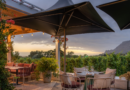 Small Groups, Big Impact: Elevating Group Dining at Steenberg Farm