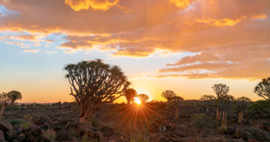 Southern African hospitality needs to rethink how it monetises destination