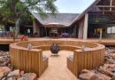 How Cape Vulture Lodge Sets the Standard for True Eco‑Lodge Practice