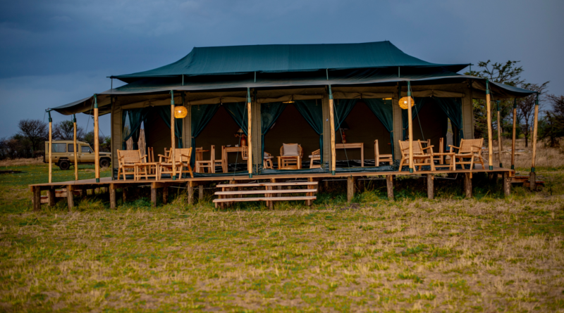Amani Collection unveils Amani Lamai Luxury Camp, bringing guests closer to the Great Migration