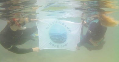 How Are You Celebrating MPA Day This Year?