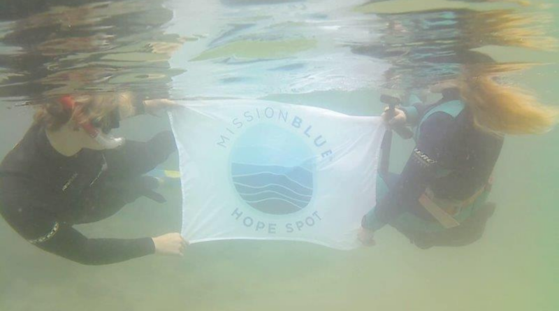 How Are You Celebrating MPA Day This Year?