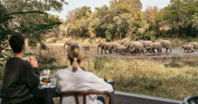Not All Safaris Are the Same, Even in the Same Reserve